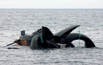 This handout photo released on January 8, 2010 from the Sea Shepherd Conservation Society shows the Sea Shepherd's hi-tech trimaran 'Ady Gil' sinking (AFP photo) This handout photo released on January 8, 2010 from the Sea Shepherd Conservation Society shows the Sea Shepherd's hi-tech trimaran 'Ady Gil' sinking (AFP photo)