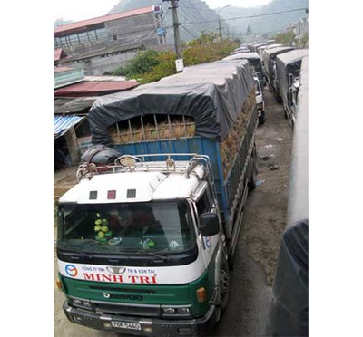Trucks stuck at Tan Thanh Border Gate.