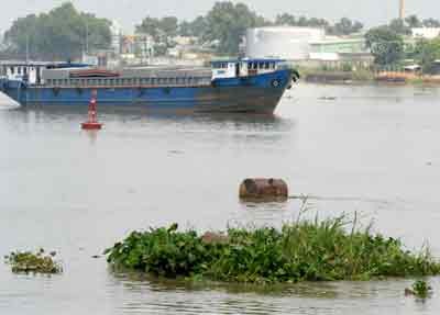 A section of the Dong Nai River (Photo: SGGP) A section of the Dong Nai River (Photo: SGGP)