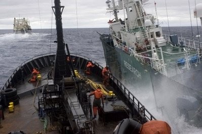 The Sea Shepherd ship Bob Barker (L) colliding with Japanese whaling ship Yushin Maru No. 3 (R) in Antarctic waters on February 6. The Sea Shepherd ship Bob Barker (L) colliding with Japanese whaling ship Yushin Maru No. 3 (R) in Antarctic waters on February 6.