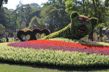 A tiger made with flowers -symbol of the year 2010 A tiger made with flowers -symbol of the year 2010