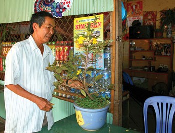 Vietnamese Cambodian Le Van La cares for a yellow apricot tree. Vietnamese Cambodian Le Van La cares for a yellow apricot tree.
