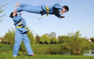Vietnamese students perform Vovinam in France Vietnamese students perform Vovinam in France