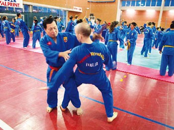 Martial arts instructor Nguyen Van Chieu (L) instruct a foreign student a posture of the Vovinam Martial arts instructor Nguyen Van Chieu (L) instruct a foreign student a posture of the Vovinam