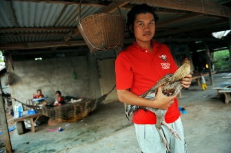 In this picture taken on January 12, 2010 a Thai man wearing a red t-shirt marking his support for ousted prime minister Thaksin Shinawatra holds a cockerel at his farm in a village on the outskirts of Udon Thani, in Thailand's impoverished northeast. AFP photo In this picture taken on January 12, 2010 a Thai man wearing a red t-shirt marking his support for ousted prime minister Thaksin Shinawatra holds a cockerel at his farm in a village on the outskirts of Udon Thani, in Thailand's impoverished northeast. AFP photo