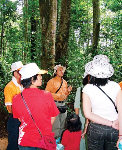 Du khách tìm hiểu về các loại cây ở rừng Phú Quốc. Du khách tìm hiểu về các loại cây ở rừng Phú Quốc.