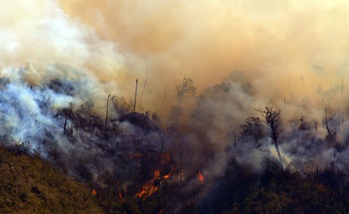 A part of Hoang Lien National Park is fired on February 10