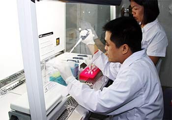 Lab technicians conduct ADN analysis at the newly opened Gene Analysis Office in HCMC (Photo: SGGP) Lab technicians conduct ADN analysis at the newly opened Gene Analysis Office in HCMC (Photo: SGGP)