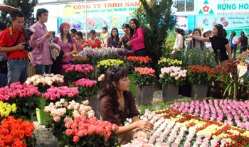 Various kinds of roses are displayed in Dalat Flower festival 2010. (Photo:Sggp) Various kinds of roses are displayed in Dalat Flower festival 2010. (Photo:Sggp)