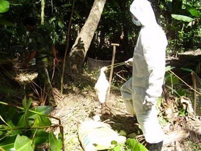 Vets will spray chemicals to disinfect the areas where have had infected bird flu patients Vets will spray chemicals to disinfect the areas where have had infected bird flu patients