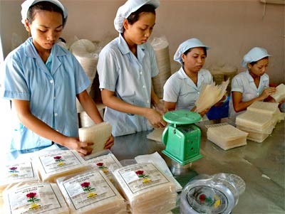 Workers package rice paper for export at Ut Duoc factory in HCMC's Cu Chi District (Photo: SGGP) Workers package rice paper for export at Ut Duoc factory in HCMC's Cu Chi District (Photo: SGGP)