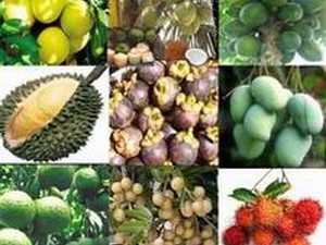 A host of Vietnamese fruits will be showcased at the Vietnam Fruit Festival in the Mekong Delta province of Tien Giang on April 19-24 A host of Vietnamese fruits will be showcased at the Vietnam Fruit Festival in the Mekong Delta province of Tien Giang on April 19-24