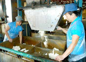 Workers process rubber at the Long Thanh Rubber Plant in Dong Nai Province. Experts say the products contributing most to the country’s GDP and export turnover are not industrial products but are mainly from agriculture, fisheries and mining. (Photo: SGGP) Workers process rubber at the Long Thanh Rubber Plant in Dong Nai Province. Experts say the products contributing most to the country’s GDP and export turnover are not industrial products but are mainly from agriculture, fisheries and mining. (Photo: SGGP)