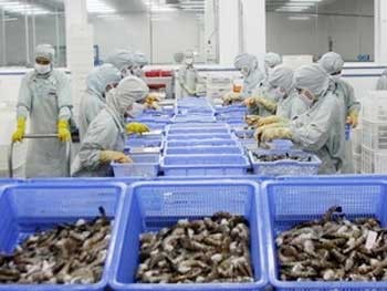 Workers at a Vietnamese factory that processes shrimp for export. Vietnam requests that the World Trade Organisation’s Dispute Settlement Body (DSB) establish a panel on the US ’ anti-dumping measures on certain shrimp from Vietnam. (Photo: VNA) Workers at a Vietnamese factory that processes shrimp for export. Vietnam requests that the World Trade Organisation’s Dispute Settlement Body (DSB) establish a panel on the US ’ anti-dumping measures on certain shrimp from Vietnam. (Photo: VNA)