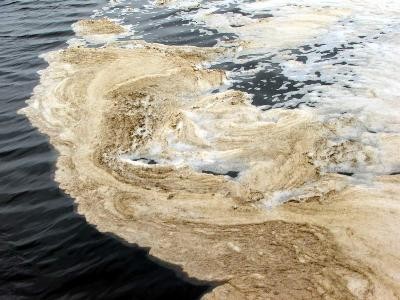 Thi Vai River has been seriously polluted by plants located along its banks. Thi Vai River has been seriously polluted by plants located along its banks.