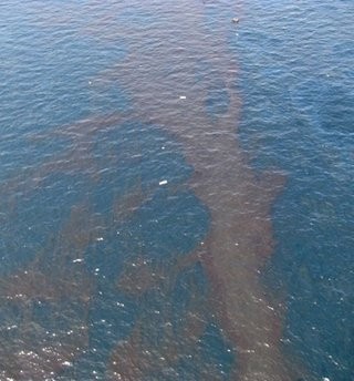 US Coast Guard issued photo shows debris and oil from the Deepwater Horizon drilling platform floating in the Gulf of Mexico following the sinking of the rig on April 22. US Coast Guard issued photo shows debris and oil from the Deepwater Horizon drilling platform floating in the Gulf of Mexico following the sinking of the rig on April 22.