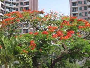 The southern weather is forecast to be hot during the coming weekend holidays (Photo: HM) The southern weather is forecast to be hot during the coming weekend holidays (Photo: HM)