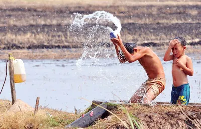 Cao điểm hạn mặn ở ĐBSCL: Người khát, lúa khô