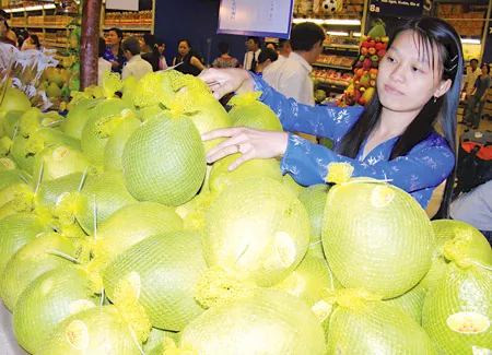 Trái cây Việt Nam - Tiềm năng lớn, xuất khẩu nhỏ