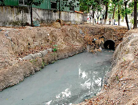 Vay vốn cải tạo môi trường sản xuất: Doanh nghiệp kêu khó, nhà nước bảo không