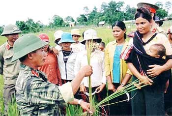 Soldiers in Ia Blang commune, Gia Lai province, introduce a new rice variety to local residents to help them improve productivity (Photo: SGGP) Soldiers in Ia Blang commune, Gia Lai province, introduce a new rice variety to local residents to help them improve productivity (Photo: SGGP)