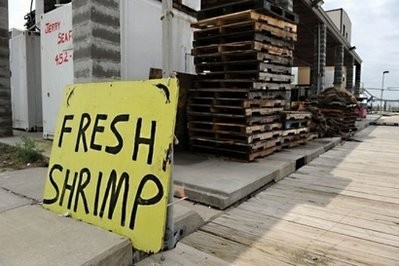 A shrimp processing plant sits idle on a dock in Pass Christian, Mississippi, after the shutdown of all fishing on the Gulf coast due to the oil spill from the BP Deepwater Horizon platform disaster A shrimp processing plant sits idle on a dock in Pass Christian, Mississippi, after the shutdown of all fishing on the Gulf coast due to the oil spill from the BP Deepwater Horizon platform disaster