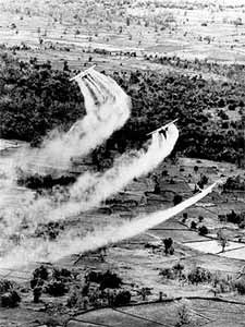 This undated file photo shows the US army spray defoliant Agent Orange in Vietnam during the war This undated file photo shows the US army spray defoliant Agent Orange in Vietnam during the war