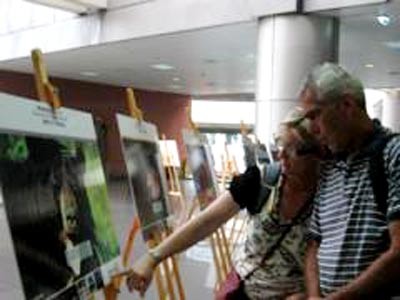 Foreign visitors look at pictures at the Noi Bai Airport (Photo: Thien Nhien) Foreign visitors look at pictures at the Noi Bai Airport (Photo: Thien Nhien)