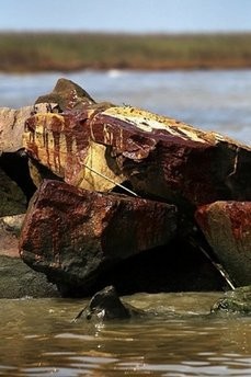 Oil coats the rocks of a jetti at the mouth of the Mississippi River on May 17, south of Venice, Louisiana. Oil coats the rocks of a jetti at the mouth of the Mississippi River on May 17, south of Venice, Louisiana.
