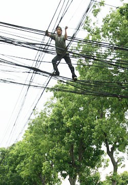 83% of electric wiring fails to meet quality standards. 83% of electric wiring fails to meet quality standards.