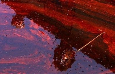 Louisiana Governor Bobby Jindal is seen reflected in oil filled water while answering questions during a tour of areas where oil has come ashore near Brush. AFP photo Louisiana Governor Bobby Jindal is seen reflected in oil filled water while answering questions during a tour of areas where oil has come ashore near Brush. AFP photo