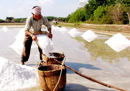 Muối đắng Cần Giờ