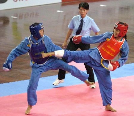 Tiến tới môn vovinam đại hội TDTT toàn quốc lần 6- 2010: Đã vì lợi ích chung?