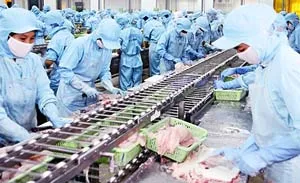 Ngành thủy sản phát triển mô hình liên kết “hai nhà” ảnh 2 Ngành thủy sản phát triển mô hình liên kết “hai nhà” ảnh 2