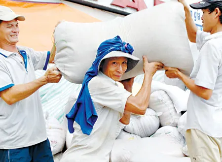 Vụ hè thu ở ĐBSCL: Chủ động phương án tiêu thụ