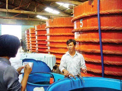 Making fish sauce on Phu Quoc Island ( Photo: SGGP) Making fish sauce on Phu Quoc Island ( Photo: SGGP)