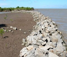 Western sea dyke in Ca Mau province (Photo: Dat Mui Newspaper) Western sea dyke in Ca Mau province (Photo: Dat Mui Newspaper)