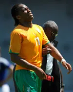 Voi Tây Phi mất ngà Drogba