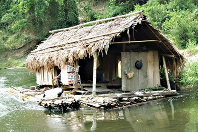 Bài 3: Bảo vệ rừng - Một người giữ, trăm người phá