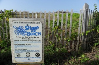 This May 2, 2010 file photo shows a sign telling people of a turtle nesting area on Dauphin Island, Alabama, off the coast of Mobile, as the oil spill from the BP Deepwater Horizon platform disaster approaches the Gulf Coast. AFP This May 2, 2010 file photo shows a sign telling people of a turtle nesting area on Dauphin Island, Alabama, off the coast of Mobile, as the oil spill from the BP Deepwater Horizon platform disaster approaches the Gulf Coast. AFP