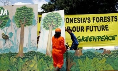 Greenpeace has said major foreign firms like Walmart and KFC are contributing to forest destruction and the loss of species like Sumatran tigers by buying from Indonesian tigers by buying from Indonesian paper giant Sinar Mas. (AFP file) Greenpeace has said major foreign firms like Walmart and KFC are contributing to forest destruction and the loss of species like Sumatran tigers by buying from Indonesian tigers by buying from Indonesian paper giant Sinar Mas. (AFP file)