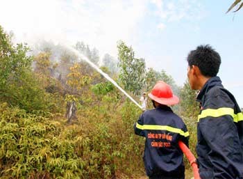 Da Nang City Police’s firefighters battle a forest fire. (Photo: SGGP) Da Nang City Police’s firefighters battle a forest fire. (Photo: SGGP)