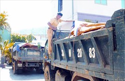A police official examines one of the 15 trucks carrying illegally exploited mangan ore in the central province of Ha Tinh July 11 (Photo: Thanh Nien) A police official examines one of the 15 trucks carrying illegally exploited mangan ore in the central province of Ha Tinh July 11 (Photo: Thanh Nien)