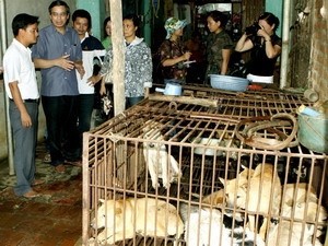 Inspectors conduct an inspection to commune Duong Noi in Hanoi, where supply mostly dog meat for eateries Inspectors conduct an inspection to commune Duong Noi in Hanoi, where supply mostly dog meat for eateries
