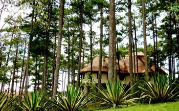 Resort & Spa Ana Mandara Villas Dalat wins “Tropical Building” award ảnh 1 Resort & Spa Ana Mandara Villas Dalat wins “Tropical Building” award ảnh 1