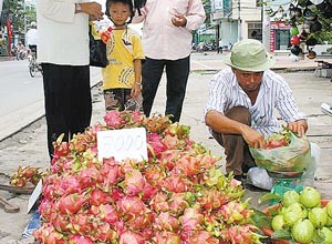Fruits for sale in the Mekong Delta (Photo: SGGP) Fruits for sale in the Mekong Delta (Photo: SGGP)