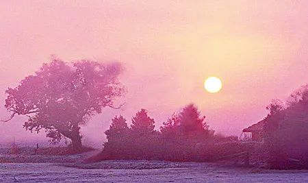 Ngọn lửa, dáng người