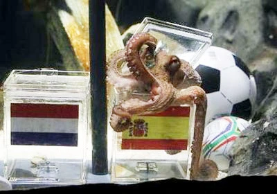 Dự đoán ngôi vô địch World Cup 2010: Bạch tuộc Paul chọn Tây Ban Nha