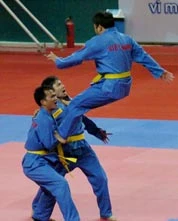 Việt Nam dự giải vô địch Vovinam châu Á lần 1-2010