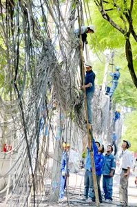 Một “mạng nhện” đang được các cơ quan chức năng thu dọn. Một “mạng nhện” đang được các cơ quan chức năng thu dọn.